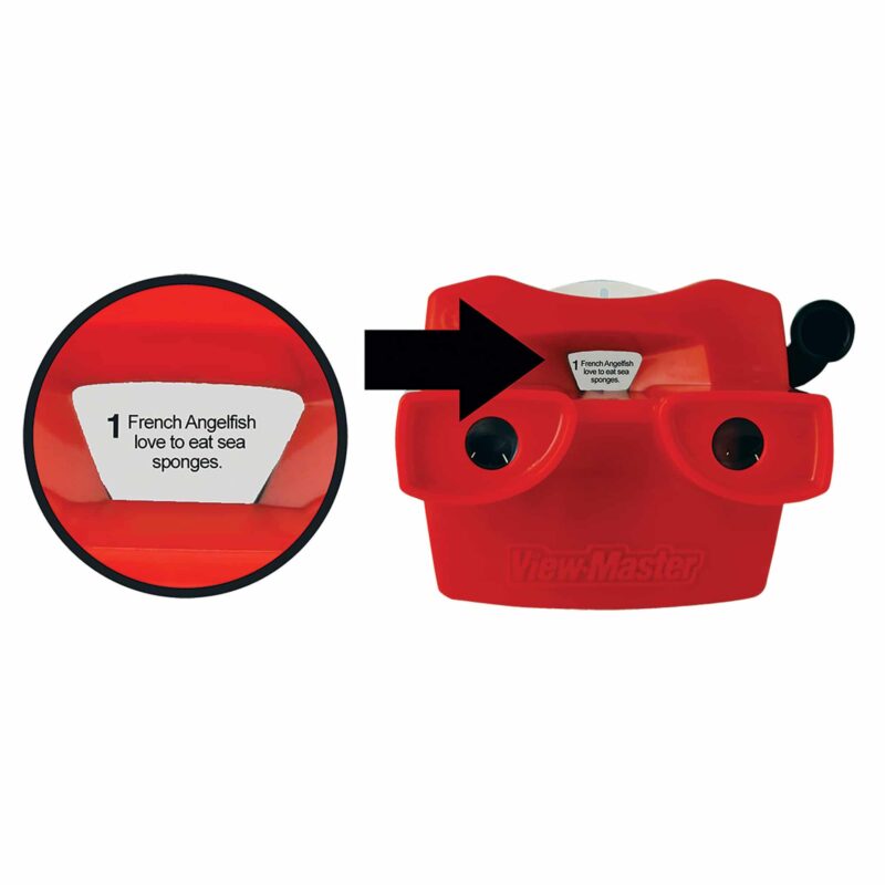 Viewmaster Boxed Set - US 6841
