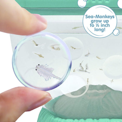 Sea-Monkeys Ocean Volcano - US 5044