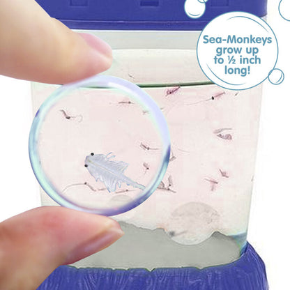 Sea-Monkeys Magiquarium - US 8413