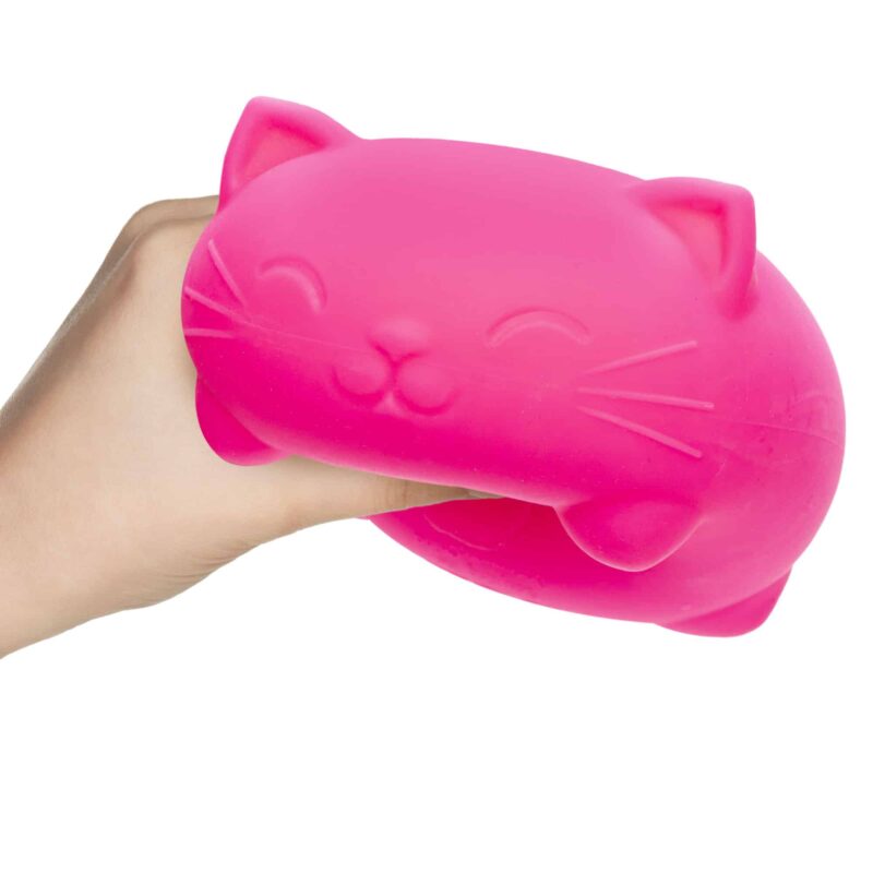 Super NeeDoh Cool Cats - US 2602